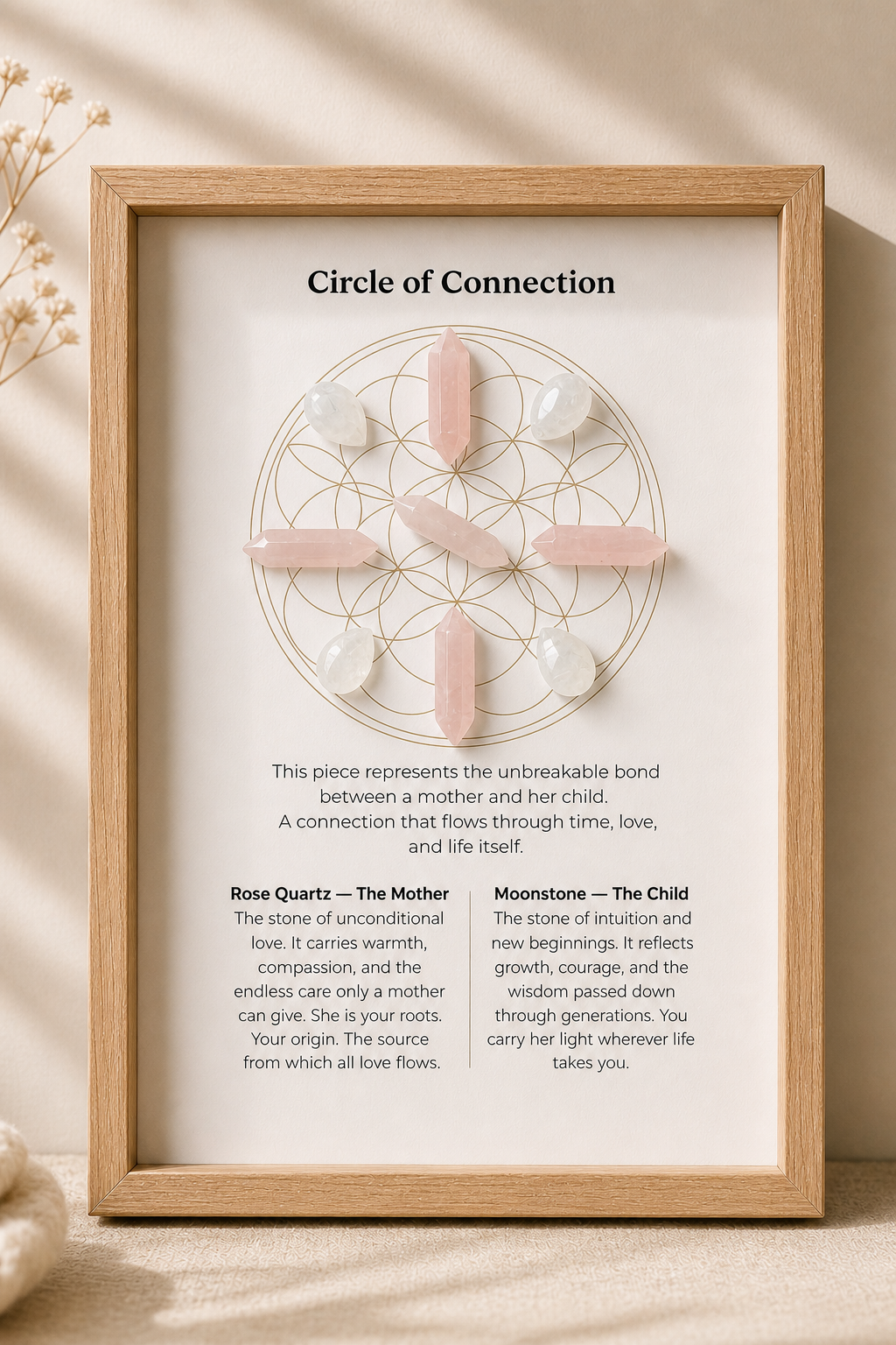 Circle of Connection
