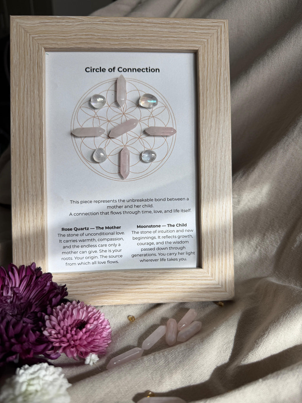 Circle of Connection