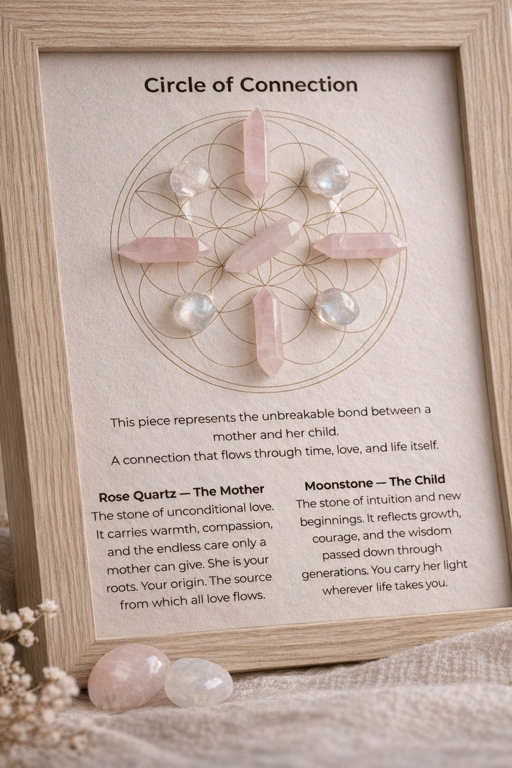 Circle of Connection